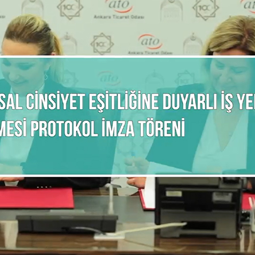 TOPLUMSAL CİNSİYETE DUYARLI İŞYERLERİ