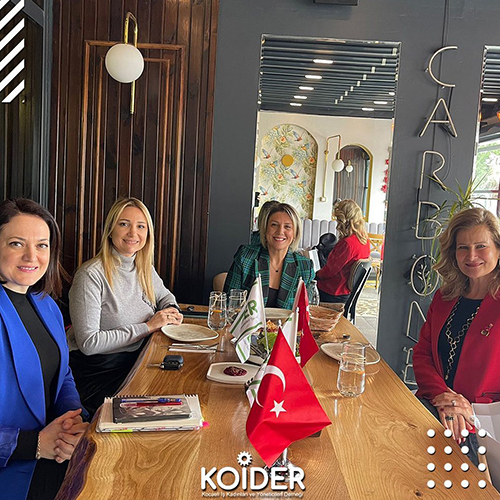 SAĞLIK VE TEKNOLOJİ ÜNİVERSİTESİ